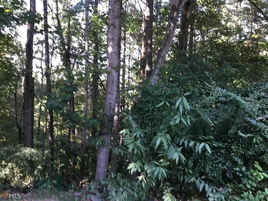 3725 Lochview Drive, Loganville, GA 30052 - Image #2