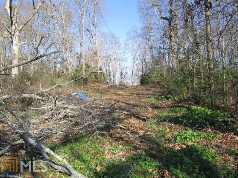 1000 / EXT N 9 Street, Griffin, GA 30223 - #1