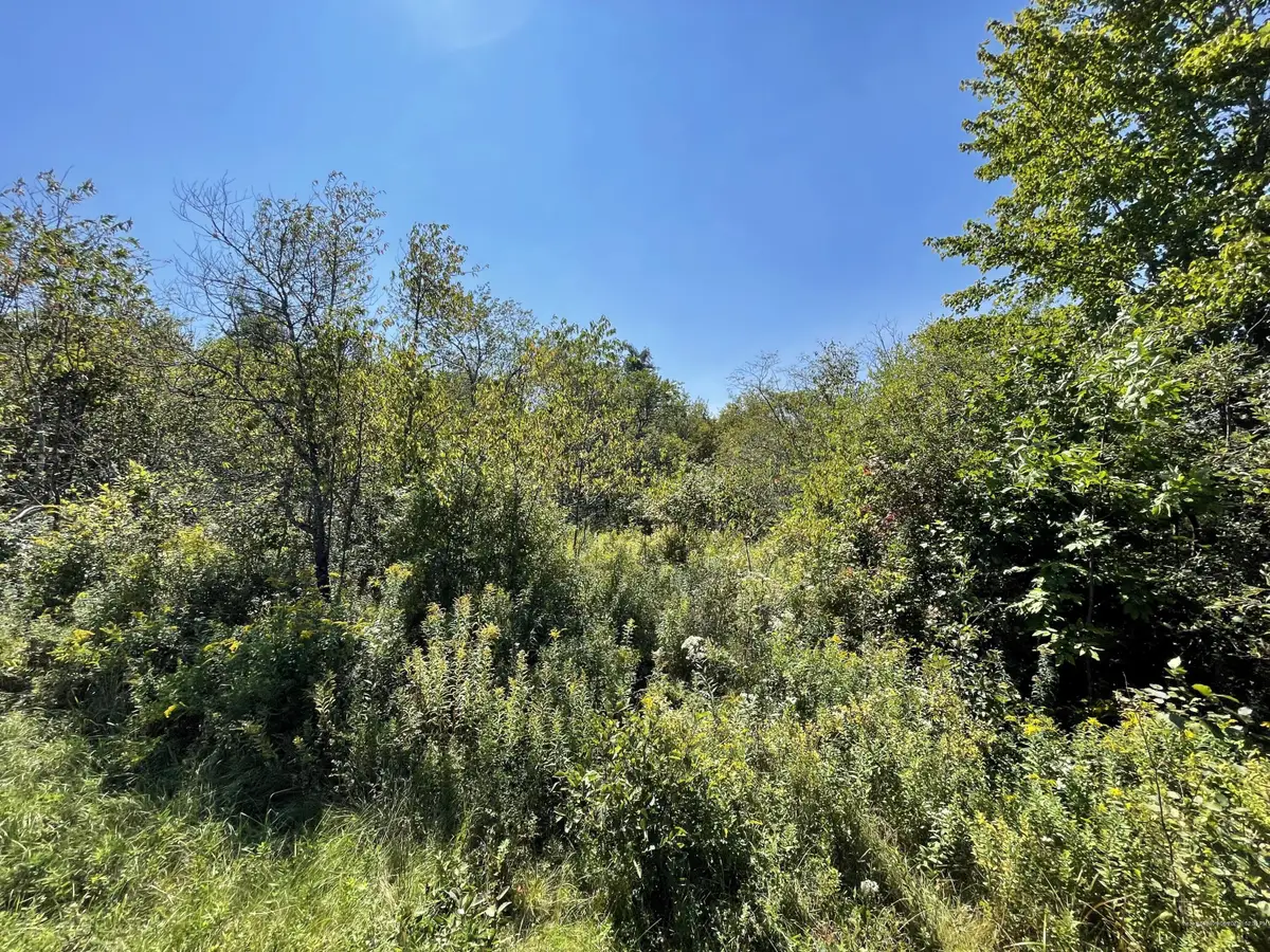 6-1 Hadley Lake Road, East Machias, ME 04630 - Image #1