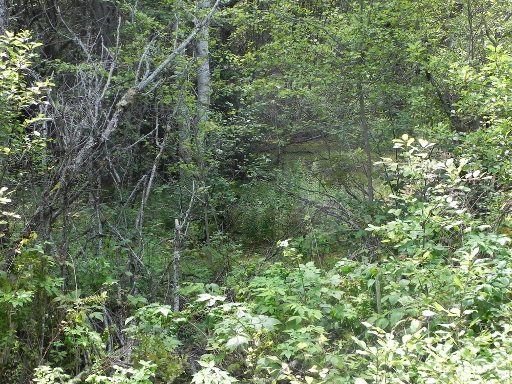 0 Lyons Road Lot 871, Lubec, ME 04652 BHGRE