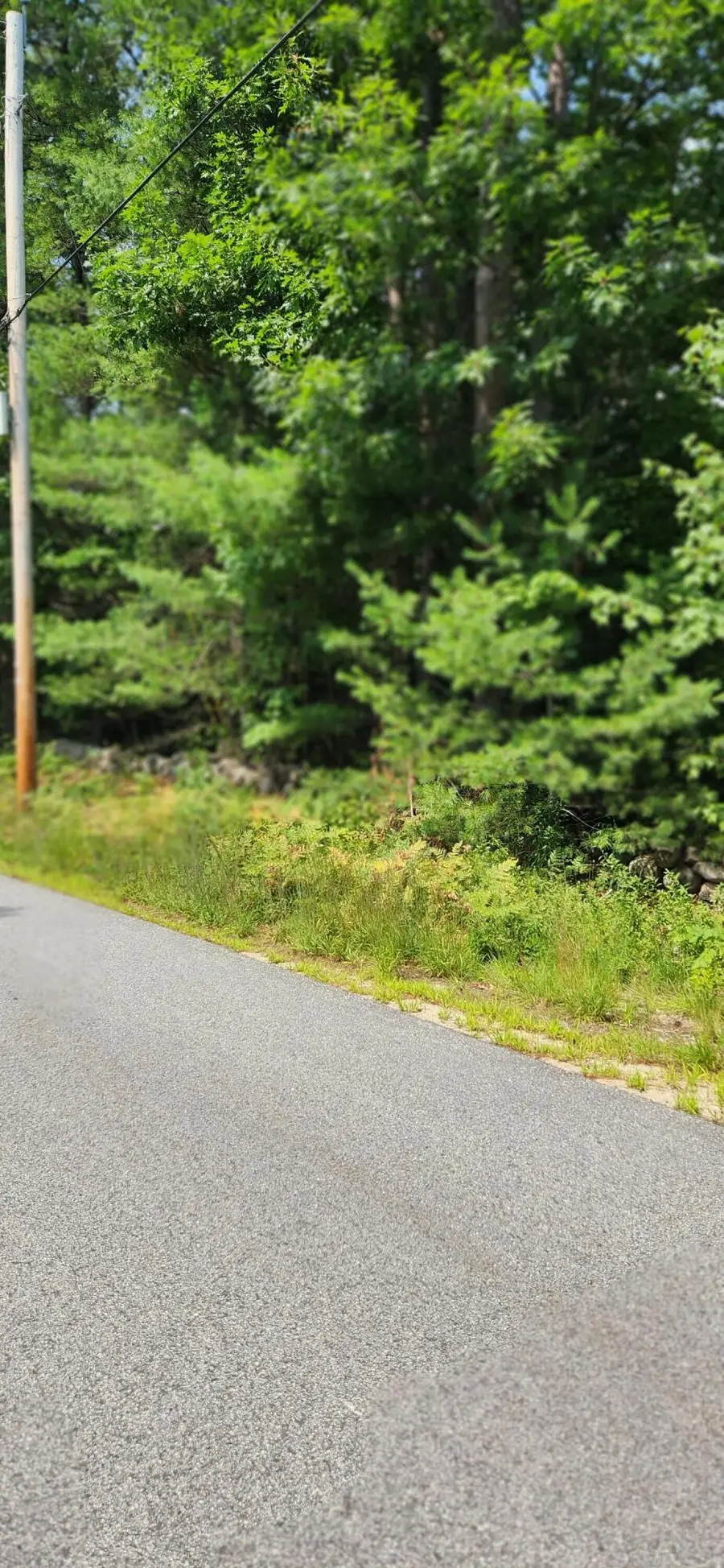 Lot#33 Shore Acres Road, Parsonsfield, ME 04047 - Image #3