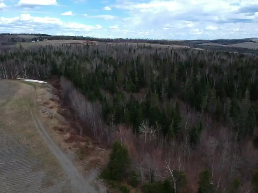 Lot 2a N North Perley Brook Road, Fort Kent, ME 04743 - #3