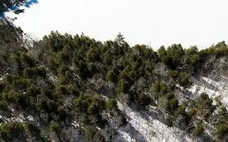 #2