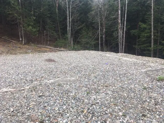 Lots 2&3 Maple Ridge Road, Dedham, ME 04429 - #1