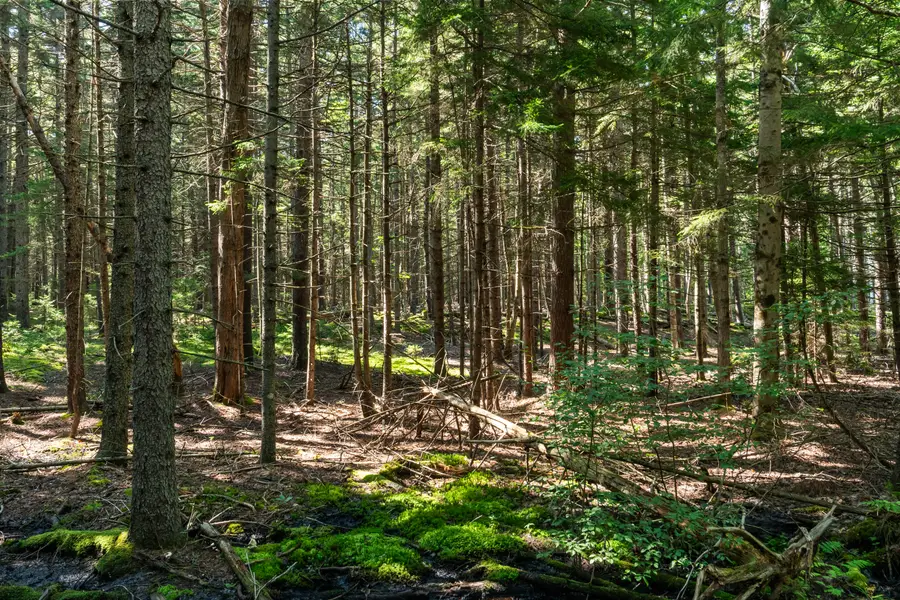 Lot 2A Allen Point Road, Harpswell, ME 04079 - Image #3