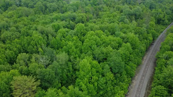 Lot 19 Old Codyville Road, Lambert Lake Twp, ME 04454