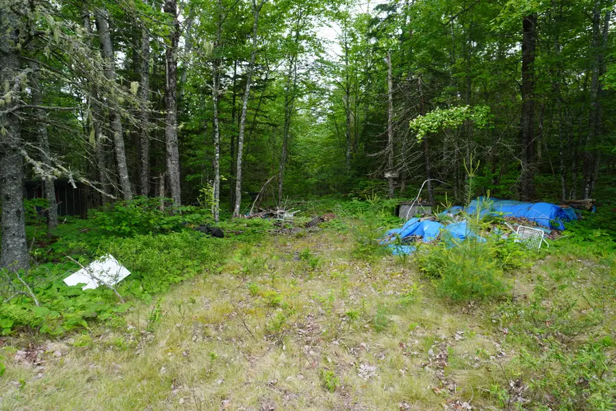 Lot 40 S River Road, East Central Washington, ME 04628 - Image #2