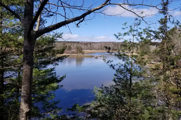 9 River Road #Lot 3, Brooklin, ME 04616