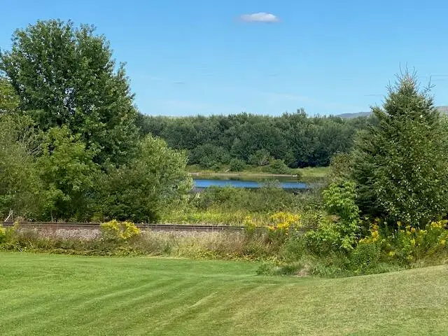 #1
