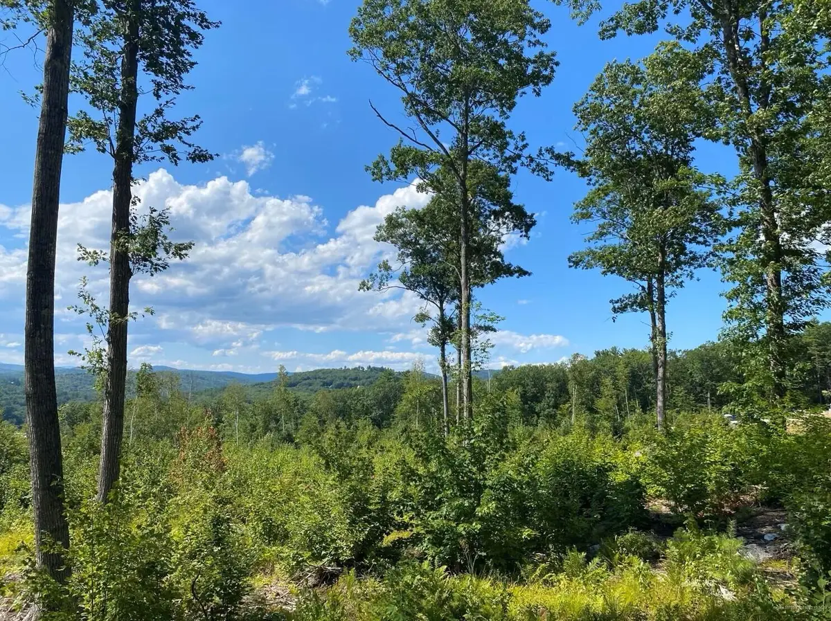 Lot 17 Birch Circle, Harrison, ME 04040 - #1