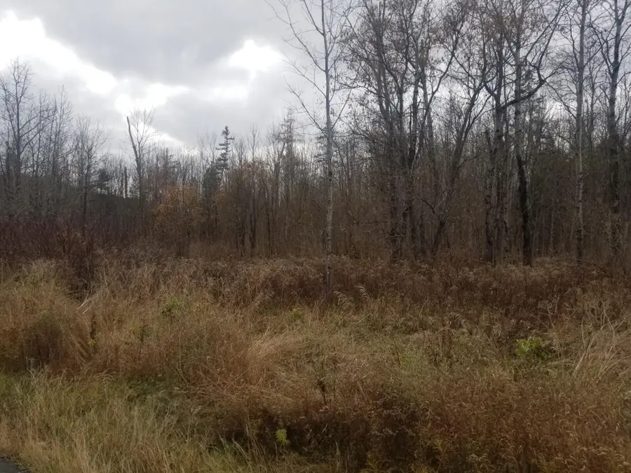 M14L19A Strickland Road, Fort Fairfield, ME 04742 - Image #3