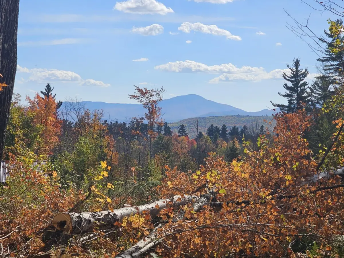 Map 5 Lot 26 & 26.1 Bray Hill Road, Phillips, ME 04966 - Image #1