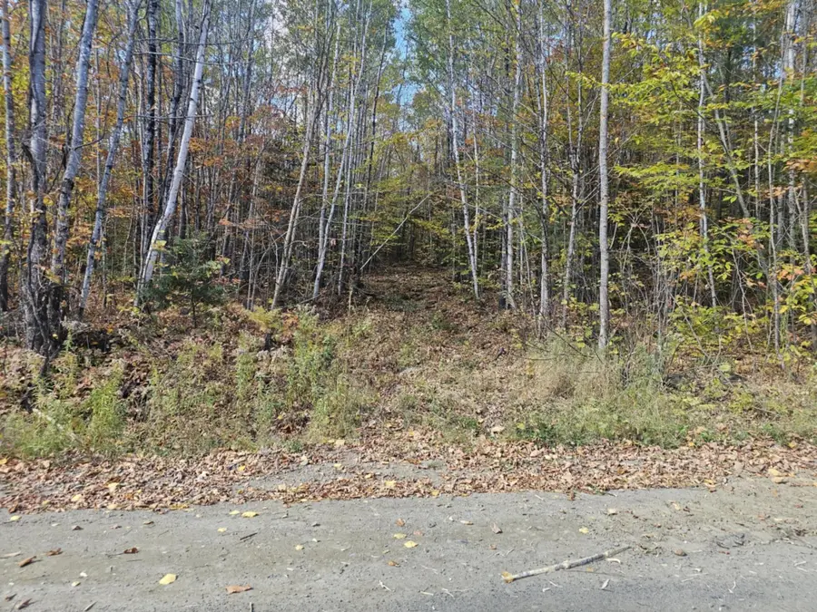 Map 5 Lot 26 & 26.1 Bray Hill Road, Phillips, ME 04966 - Image #3