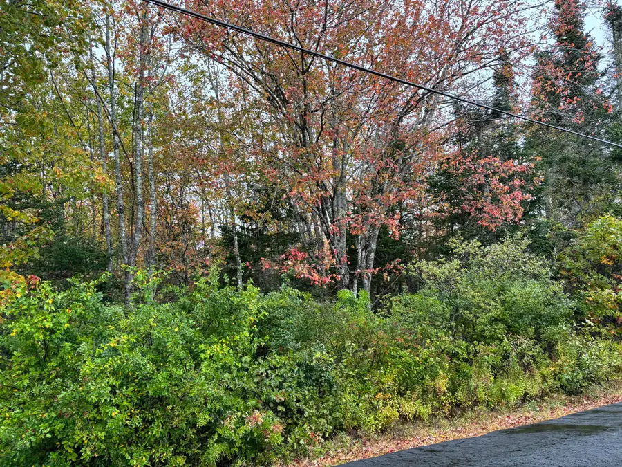 253 Hathorne Point Road, Cushing, ME 04563 - Image #3