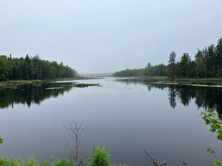 00 Scotts Hill Road, East Machias, ME 04630 - #3