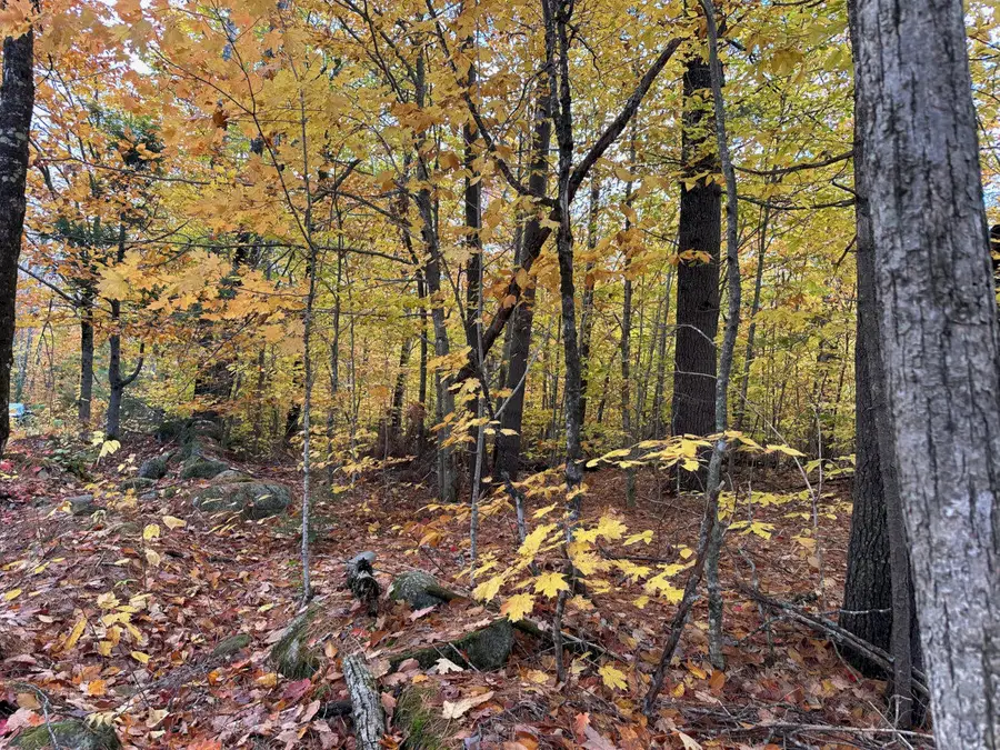 M1 L19 Homestead Hill Road, Mercer, ME 04957 - Image #3