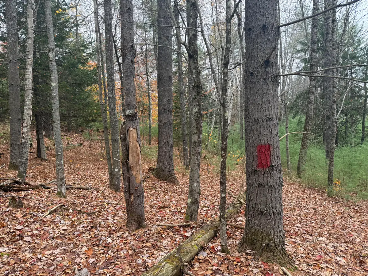 L55 Storer Hill Road, Carthage, ME 04224 - Image #1