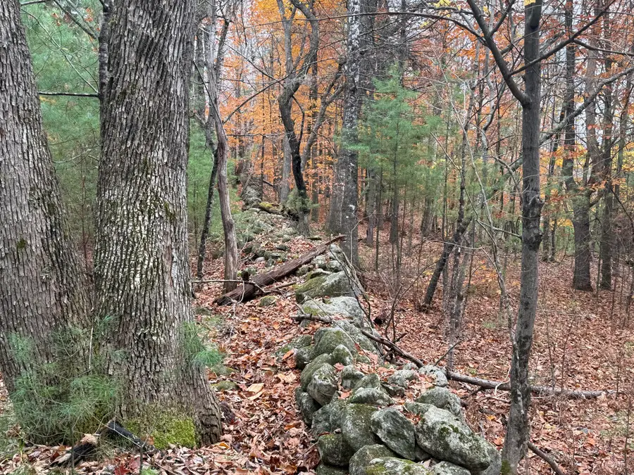 L55 Storer Hill Road, Carthage, ME 04224 - Image #2