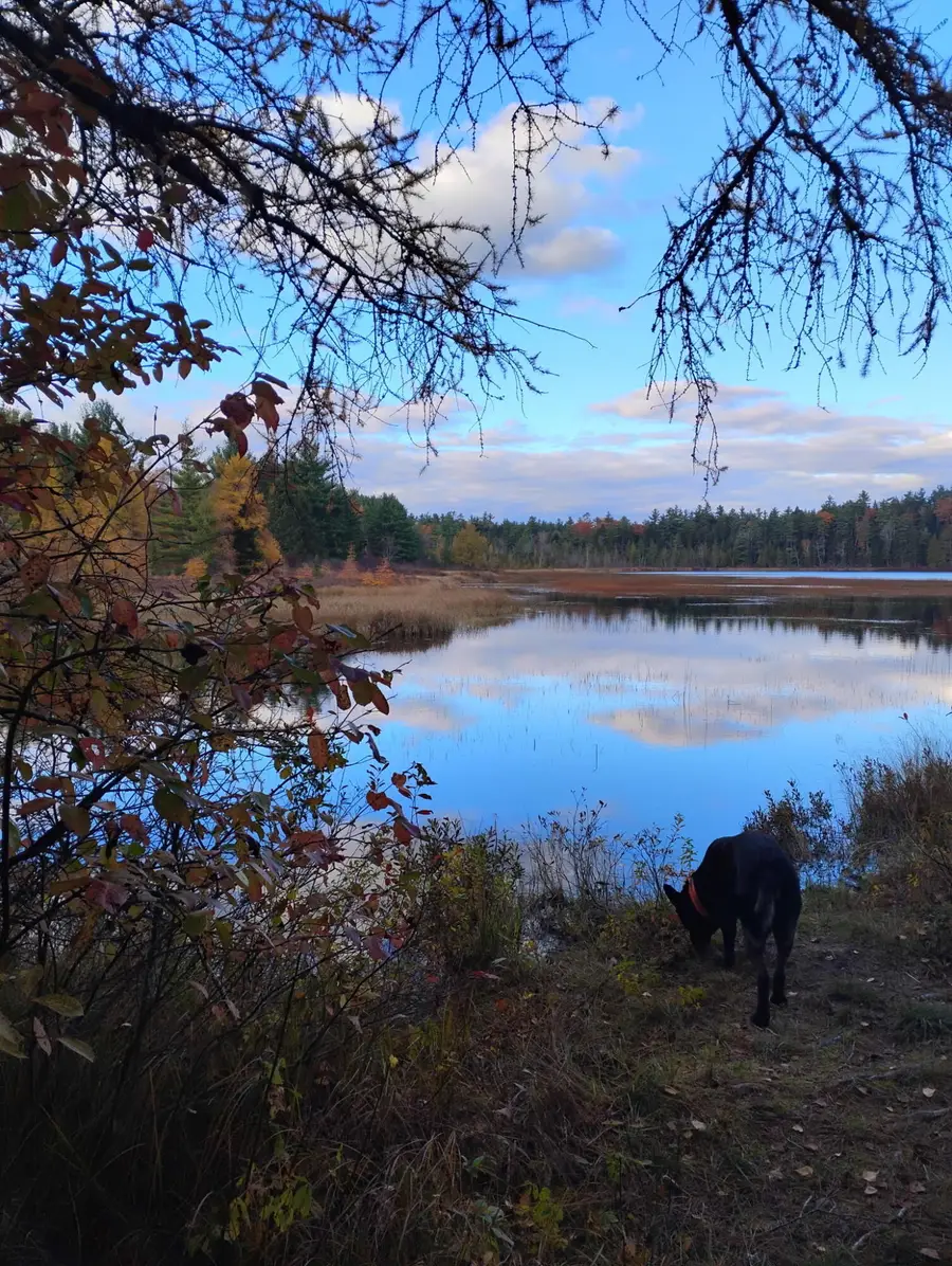 01-2.2 Airline Road, East Hancock, ME 04622 - Image #2