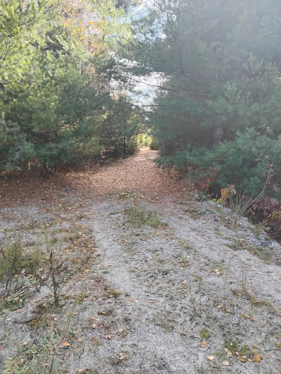 01-2.2 Airline Road, East Hancock, ME 04622 - Image #3