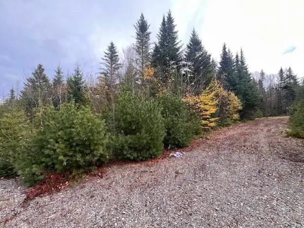 M4 L2-14 Yellow Birch Road, Whiting, ME 04691