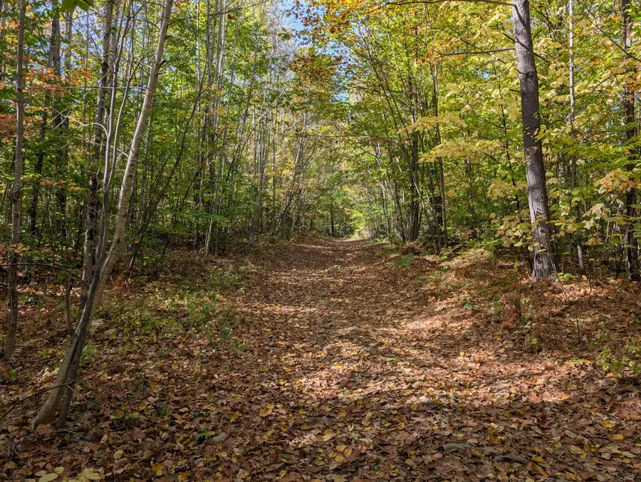 0 Gibbs Mill Road, Livermore, ME 04253 - Image #3