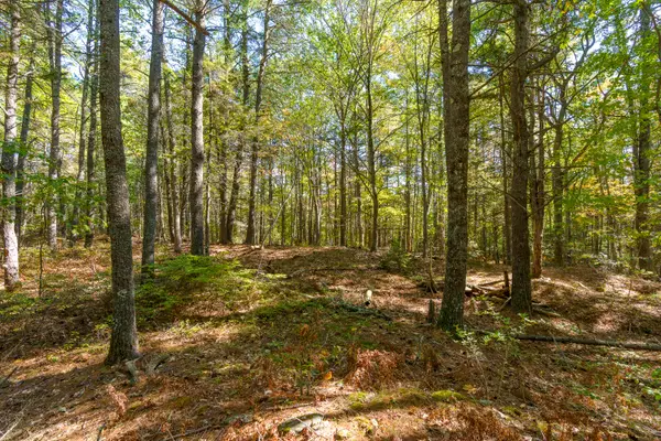 37 Vineyard Lane, York, ME 03902