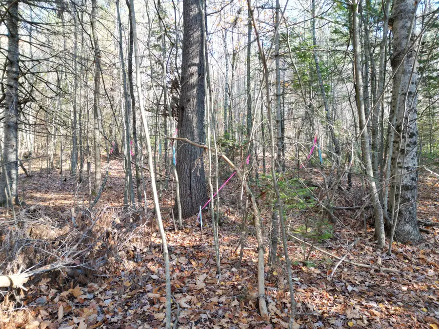 Lot 7A James Way, Lincoln, ME 04457 - Image #2