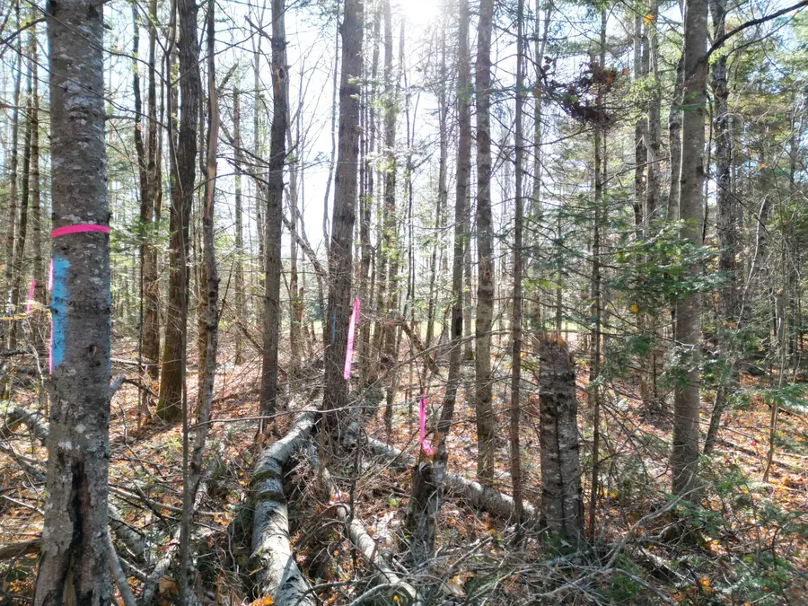 Lot 8A James Way, Lincoln, ME 04457 - Image #3