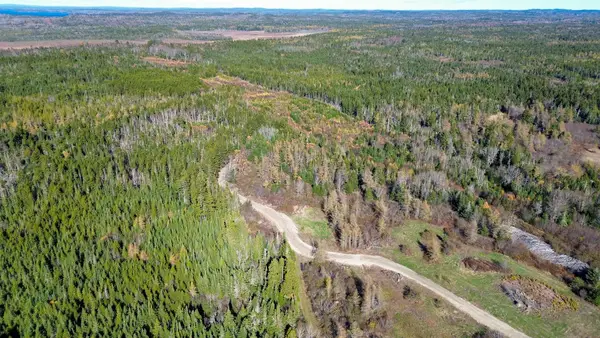 Lot 3 Holmes Bay Farm, Whiting, ME 04691