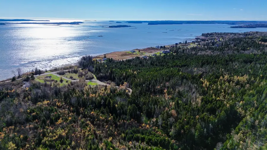 Lot 6 Holmes Bay Farm, Whiting, ME 04691 - Image #2