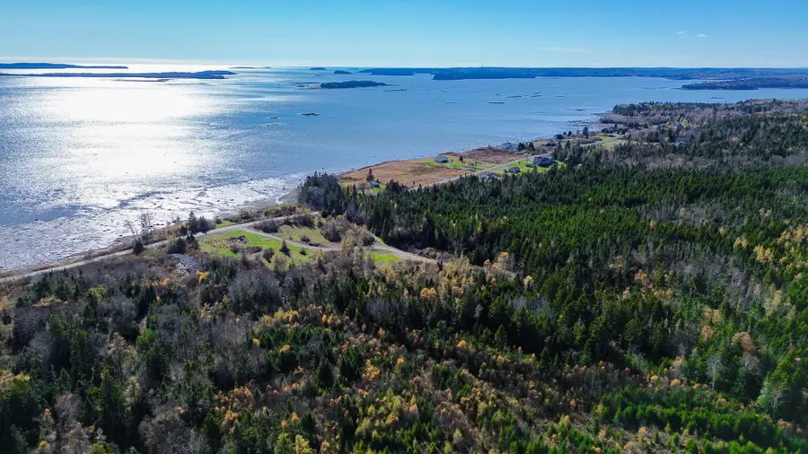 Lot 6 Holmes Bay Farm, Whiting, ME 04691 - Image #3