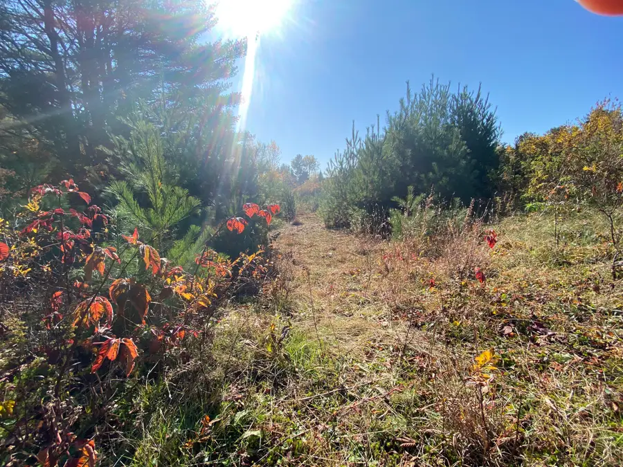 Lot 8 Moose Lane, Bethel, ME 04217 - Image #3