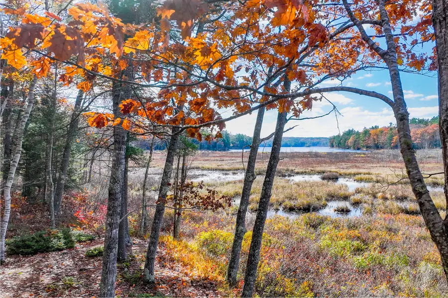 301 Bushey Shore Road, Palermo, ME 04354 - Image #3