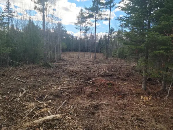 Lot 4 00 Stonewall Drive, Orrington, ME 04474