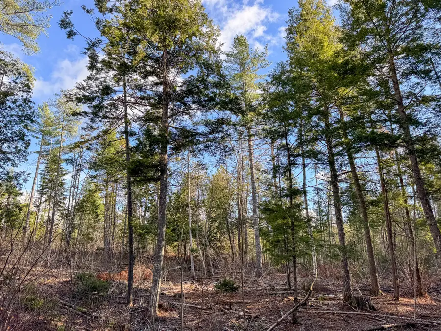 M3L42 Caribou Road, Passadumkeag, ME 04475 - Image #3