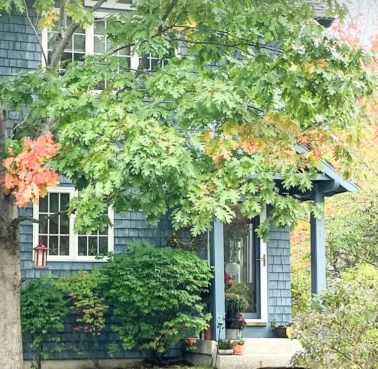 129 Portland Avenue #21, Old Orchard Beach, ME 04064 - Image #1