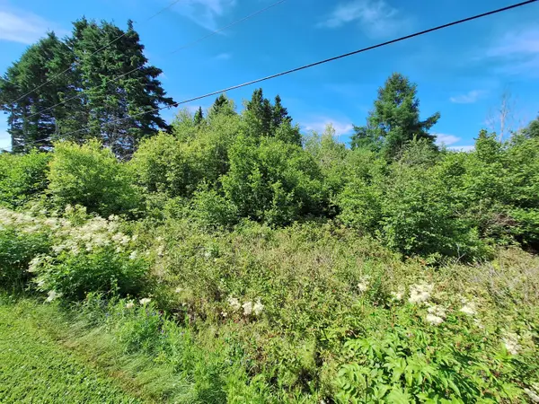 Lot #54-D Lavertu Road, Madawaska, ME 04756