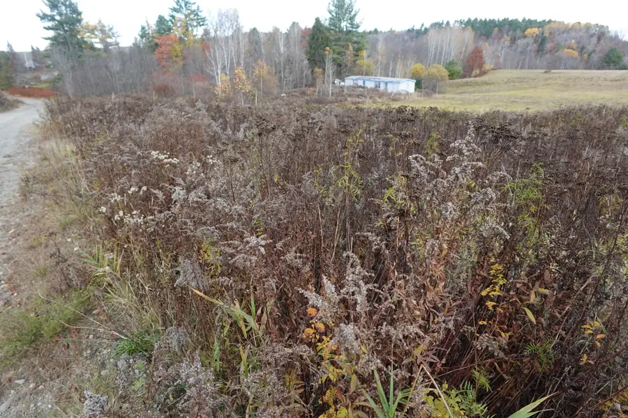 151 Dunham Road, Farmington, ME 04938 - Image #2