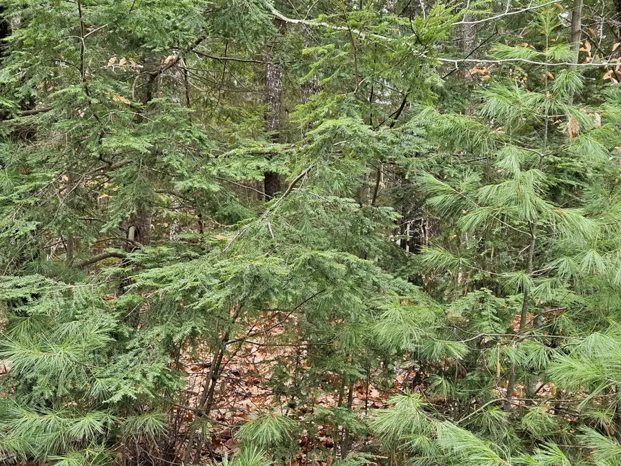 M5 L38 Winding Hill Road, Norridgewock, ME 04957 - Image #3