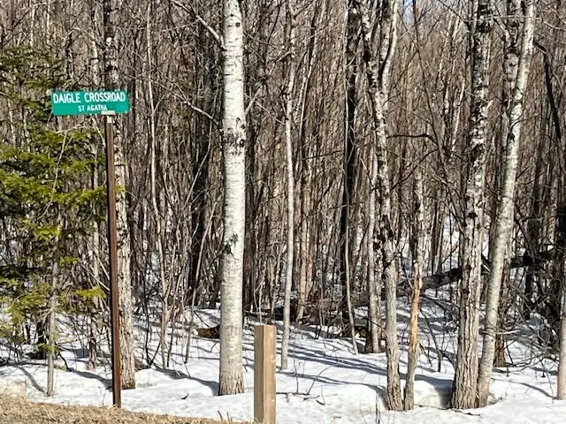 00 Daigle Cross Road, Saint Agatha, ME 04772 - Image #1