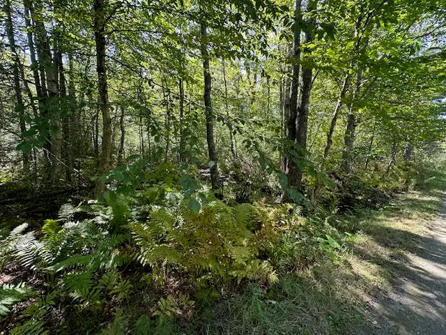 M1L431E-2 Sally Mack Road, Frankfort, ME 04438 - Image #2