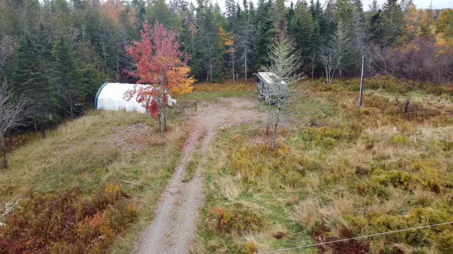 M3L19 Off Cross Road, Dennysville, ME 04628 - Image #2