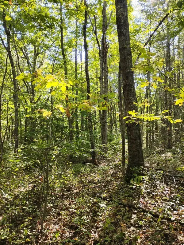 2 Bicknell Road, Belmont, ME 04952