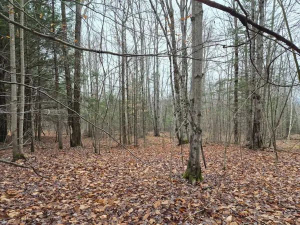 MU23 L19B Holley Road, Farmington, ME 04938