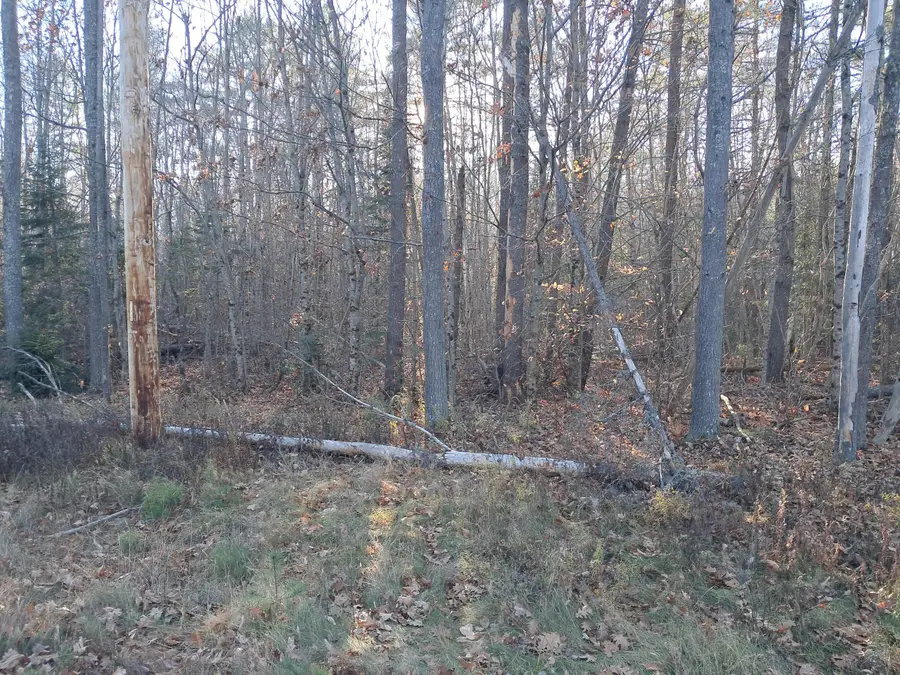00 Rt 2 Road, Passadumkeag, ME 04475 - Image #3