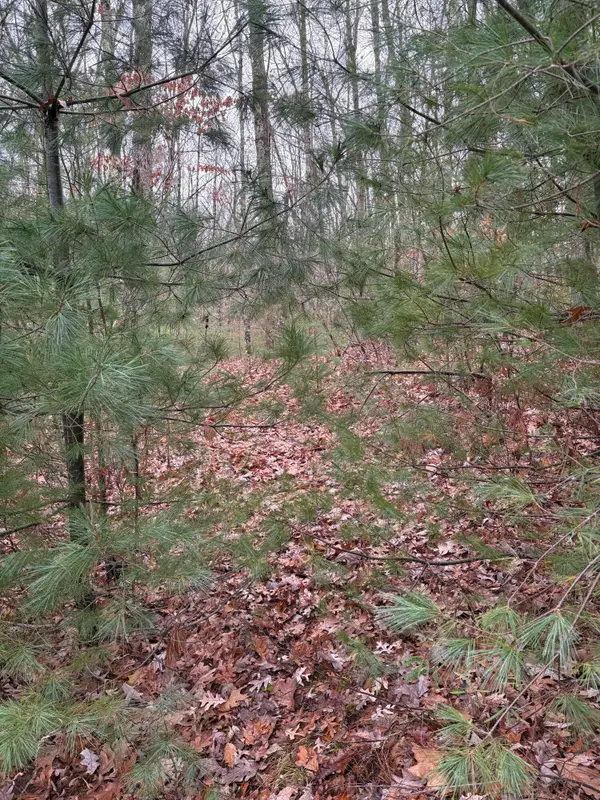 M11 Lot 02 Joseph Way, Waterboro, ME 04030