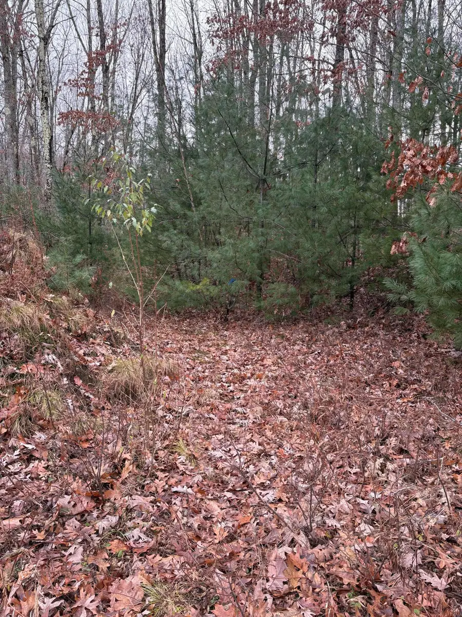 M11 Lot 02 Joseph Way, East Waterboro, ME 04030 - Image #2