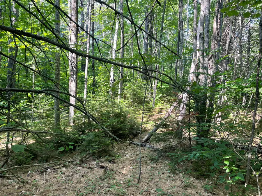 R6L13 Dickey Mills Road, Avon, ME 04966 - Image #3