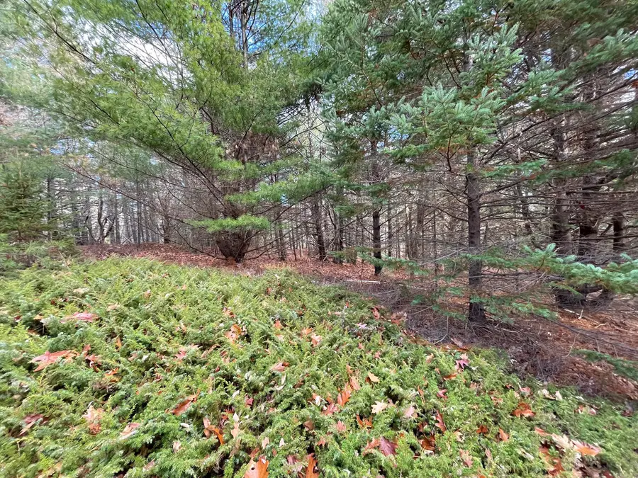 Lot #9-4 Oak Hill Road, Bar Harbor, ME 04609 - Image #2